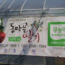 정호 농장 이미지