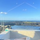 더 스테이 꽃님 이미지