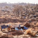 금광자원 이미지