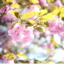 기억되는 날 이미지