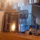 육사시미 콘서트 2 이미지