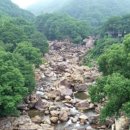 북어마을 이미지