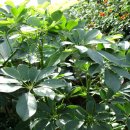 봉우공원 이미지