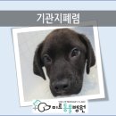 남창미르동물병원 이미지