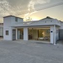 변산애