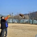 조류보호협회 밀양시지회 이미지