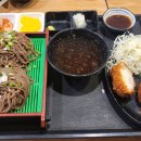 아오키카츠쿠라뉴코아