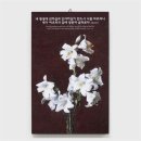 샤론 이미지