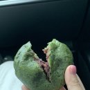 제주명품쑥보리빵