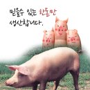 영농조합법인 운도축산 이미지