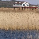 둠바둠바 이미지