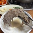 본가백구 오리불고기 이미지