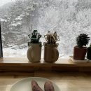 스테이523 이미지