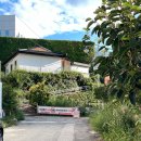 메인쿤 하우스 | [속초] 현지인 추천 파스타맛집 “키친온유” 와인과 함께한 기념일 데이트 후기 웨이팅 꿀팁