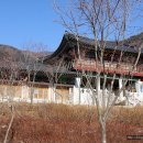 죽정전기