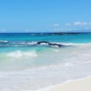 바닷가에서 이미지