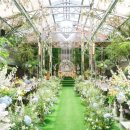 빌라드화이트 이미지