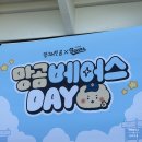 8월의 3-5 주차 주간 일기 📝