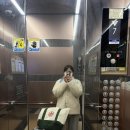 고성리-16 | 아버지 환갑기념 제주 여행 총정리(동문시장야시장,섭지코지,우도,유채꽃밭,오른카페)