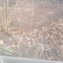 사람사는 집 이미지