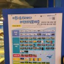 울산여행_고래의 모든 것&#34;장생포고래박물관&#34;종합정보 및 후기