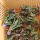 순만농장 이미지