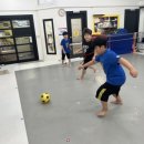 태양태권도체육관 이미지