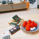 쏭스타 이미지