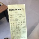 왕초켄넬 | 고양이 도미, 베트남행 비행기에 오르다