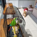 새은평동물의료센터 이미지