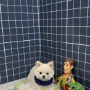 우리함개 이미지