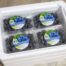 차령농장 이미지