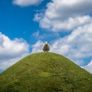 이재홍 행정사사무소 이미지