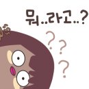 노루목 68 이미지