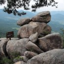 마복산목재문화체험장 이미지