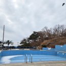 인천 강화도 펜션 추천 카우스톨펜션 솔직후기, 수영장 있는 스파펜션, 사계절 바비큐 가능