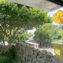 스테이 서로 이미지