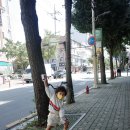 종려나무떡 이미지