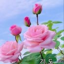 건강하세요