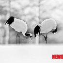 록산(綠山) 이미지