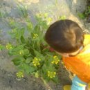 유황농장 이미지