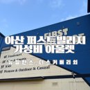 다이소아산퍼스트