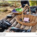 반도크레인 | 멕시코]칸쿤, 치첸이사 투어,10년만에 두번째 방문 후기,Chichen Itza,문화재 발굴의 업적과 문화재 밀반출