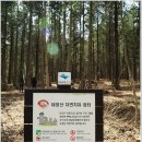 해오름관광농원 이미지