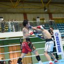 용인대 복싱클럽 이미지