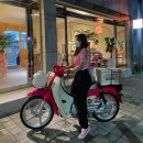 무복중고오토바이 | [여성라이더]나의 바이크라이프 1년 🛵