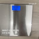 청기와목욕탕 | 연말을 보내는 나의일상,,행복뭐별거있🩷냥? (12월둘째주일기)