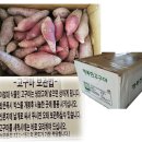 내동마을 영농조합법인 이미지