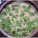 유룡리농장 이미지