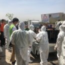 모란가축시장 이미지